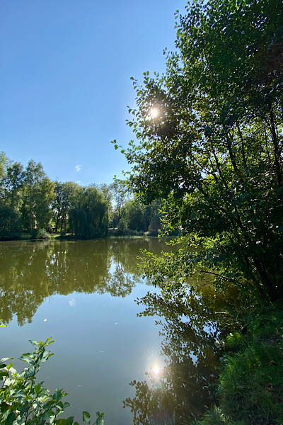 Ein kleiner See, in dem sich der klare blaue Himmel und die Sonne spiegelt.