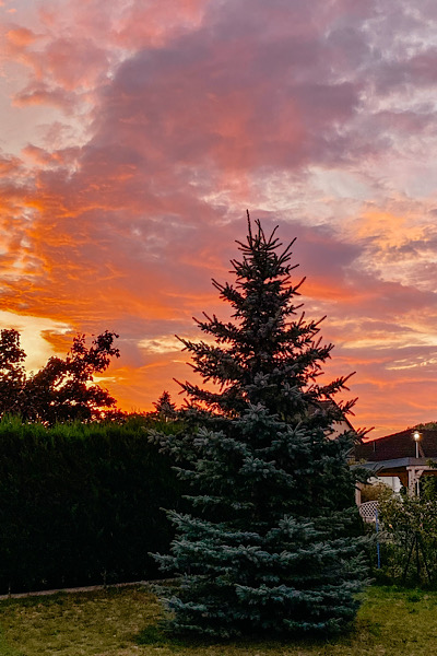 Abendlicher Sonnenuntergang mit schönsten Orange-Tönen am Himmel.