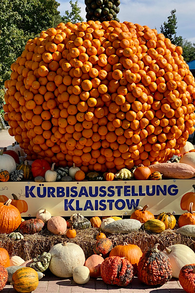 Viele bunte Kürbisse sind liebevoll zusammengestellt und mit einem Schild versehen, auf dem steht: Kürbisausstellung Klaistow.