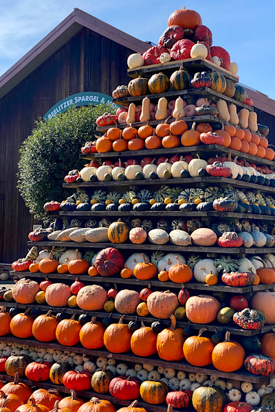 Bunte Kürbisse sind zu einer Pyramide aufgestapelt.
